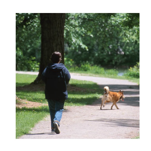 go for a walk in verbal behavior  category